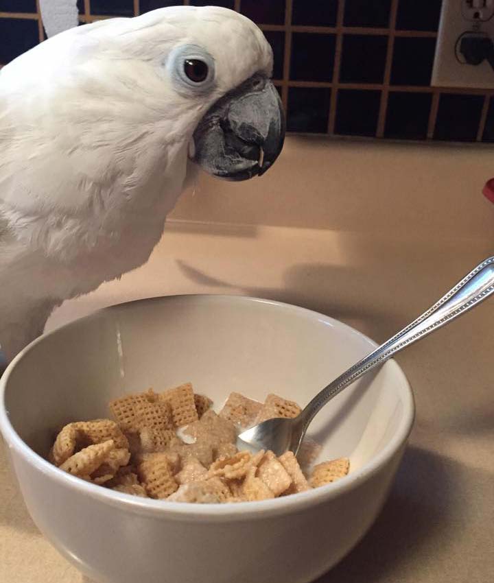 Reviews Hermitage Veterinary Hospital